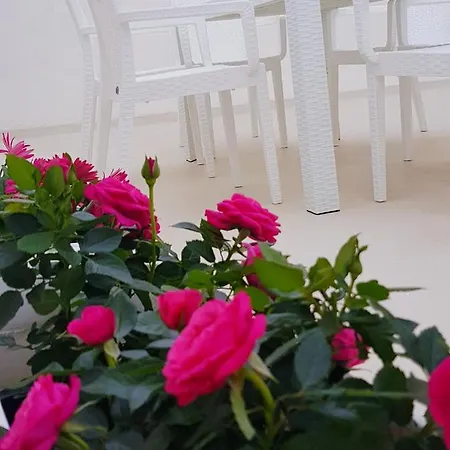 Casa Nobiliare Scuderi Appartamento *